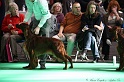 Crufts2011 749